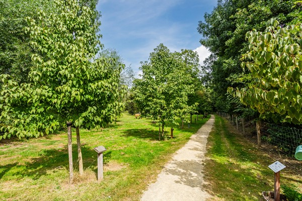 Medium property photo - Donald Ducklaan 18, 1336 ZJ Almere